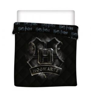 Aymax Harry Potter Couette Imprimée Réversible Poudlard 240x220 cm pour Lit double