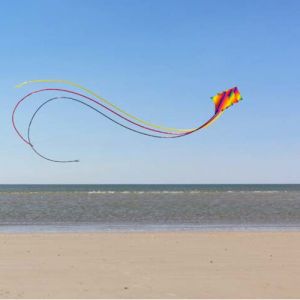 HQ Kites Cerf-volant Dancer II