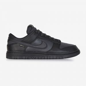 Nike Dunk Low Gore-tex Noir/gris