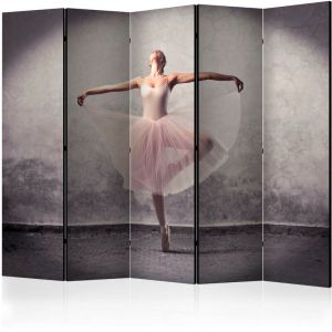 Artgeist Paravent 5 Volets "Classical Dance Poetry Without Words" 172x225cm