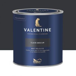 Dulux Valentine Peinture intérieure de haute qualité - Valentine - Couleur intense & pouvoir couvrant élevé - Mat Velouté Clair Obscur 0,5 l - Clair Obscur - Dulux