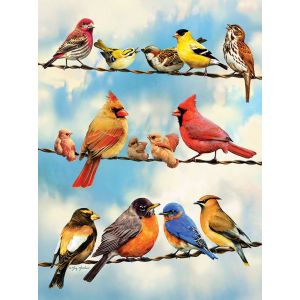 Cobble hill Pièces XXL - Birds on a Wire