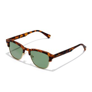 New Classic - Polarized Alligator