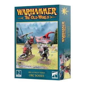 Figurine Games Workshop Warhammer ToW - Orc & Gobelin : Orc Boss