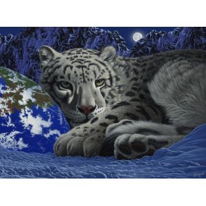Grafika Puzzle Schim Schimmel - The Warmth of Home
