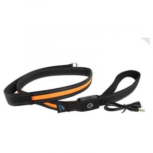 Impex Laisse Lumineuse led Fidelami pour Promenades Nocturnes