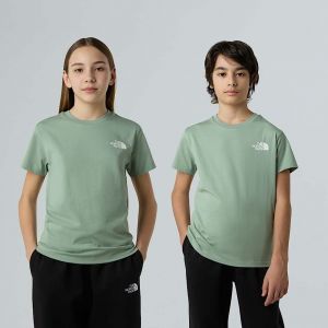 The North Face T-shirt Simple Dome Pour Enfant Slate Moss Taille XXL male