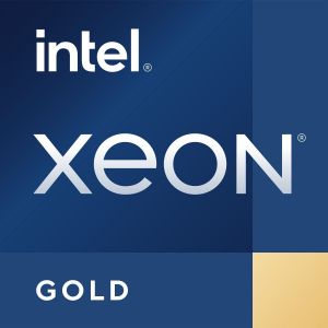 Intel Xeon Gold 5318Y processeur 2,1 GHz 36 Mo CD8068904656703