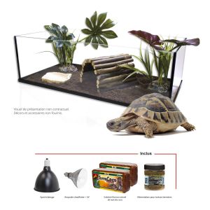 Aquavie Kit terrarium pour tortue terrestre 100 cm