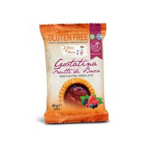 Molino Rivetti Pane Anna G&acirc;teau de Fruits de For&ecirc;t 45g