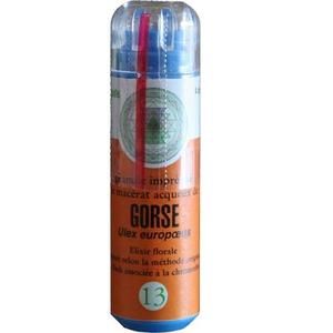 Eumadis Elixirs Floraux de Bach n&deg;13 Gorse