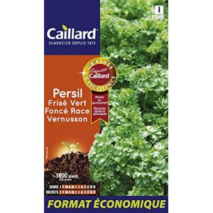 caillard Pfcd14408 Graines De Persil Frise Vert Fonce Race Vernusson