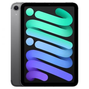 Apple Mini 8,3" Puce A17 Pro 256 Go Gris sidéral Wifi 7ème Génération 2024 Reconditionné
