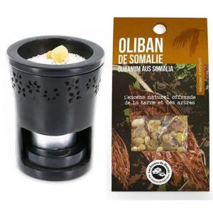Les encens du monde Brûle-parfum en pierre + résine d'Oliban de Somalie