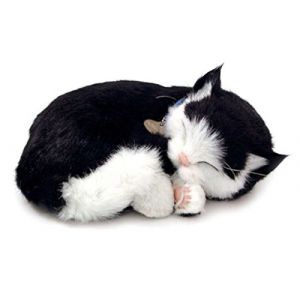 Perfect Petzzz 65432 - Peluche Interactive - Chat - Shortair Bundle - Noir / Blanc - Animal Qui Respire pour de Vrai - 25 cm