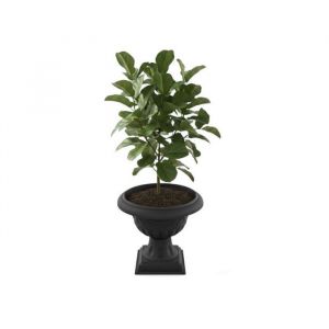 Pot de fleurs - BOTLE - Jardini&egrave;re d&eacute;corative sur pied - &Oslash; 47 cm - Graphite - Plastique durable