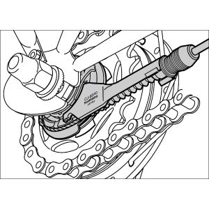 Image de Shimano Cassette Joint Nexus 8 v SG-8R40