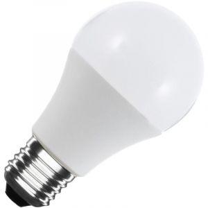Ampoule led 12/24V E27 10W 820 lm A60 3000K Blanc chaud