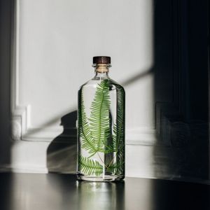 Th&eacute;ophile Berthon Foug&egrave;re montagnes immerg&eacute;e - La Jarre 3L