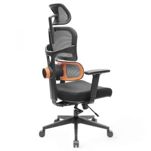 Newtral Chaise De Bureau Nt001 Chaise Ergonomique Adaptative Avec Soutien Du Bas Du Dos, Accoudoir Réglable, Base En Nylon
