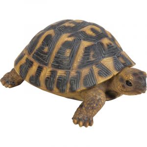 Tortue rmann en r&eacute;sine 17 cm