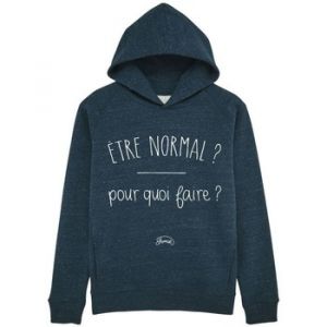 Image de Carrefour Sweat-shirt Le Fabuleux Shaman Sweat capuche "Normal pourquoi" bleu - Taille EU XXL,EU S,EU M,EU L,EU XL