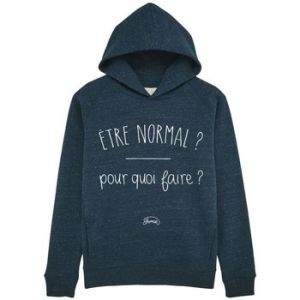 Carrefour Sweat-shirt Le Fabuleux Shaman Sweat capuche "Normal pourquoi" bleu - Taille EU XXL,EU S,EU M,EU L,EU XL