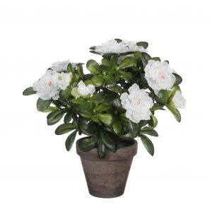 Mica Decorations Azalea artificielle blanc en pot H27