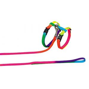 Nobby Set de Laisse-Harnais en Nylon pour Chat Couleurs de l'Arc 72220