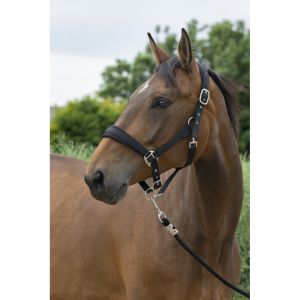 Norton clipper Ensemble licol et longe pour cheval large