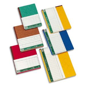 Le dauphin Piq&ucirc;re trace comptable foliot&eacute; 80 pages &agrave; 8 colonnes avec t&ecirc;te paresseuse (240 x 320 mm)