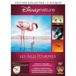 Les Ailes pourpres : Le mystère des flamants