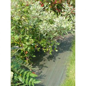 Vilmorin VB01034 Toile de Paillage Tissée Polypropylène Vert 1,60 x 20 m Qualité Standard