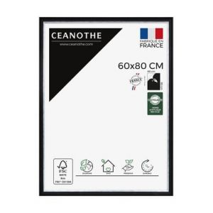 Ceanothe Cadre photo Pandore noir argent 60x80 cm