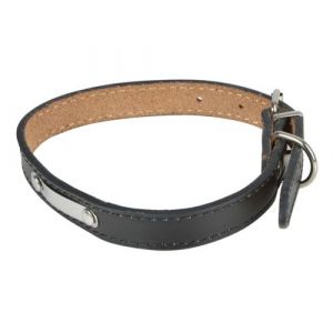 Collier Pour Chien en Cuir Plaque 50cm Noir
