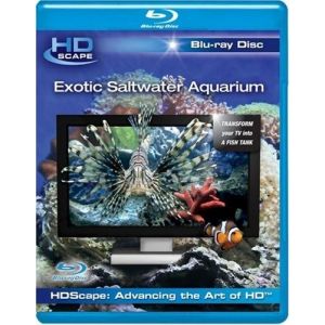 Image de Exotic Saltwater Aquarium