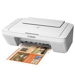 Canon Pixma MG2950 - Imprimante multifonctions jet d'encre couleur