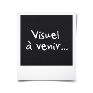 Chaufelec Edison SAS vertical 1000 Watts - Panneau rayonnant