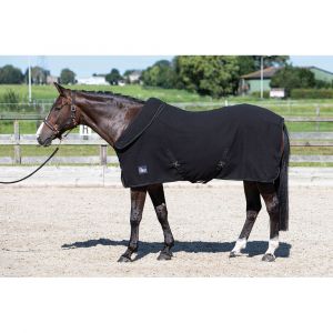 Harry's Horse Couverture polaire s&eacute;chante pour cheval col roulable