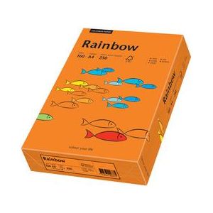 Image de Papyrus 88042637 - Ramette de 250 feuilles de papier Rainbow A4, 160 g/m², vert moyen