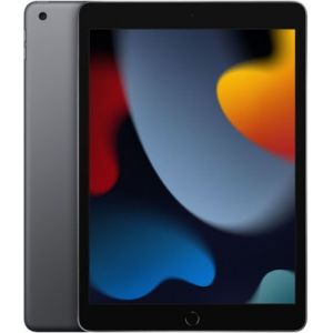 Image de Apple Tablette Ipad New 10.2 256Go Gris sidéral