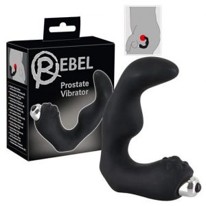 Image de You 2 Toys Vibromasseur de Prostate avec Ergots Rebel DISPO 10-2016