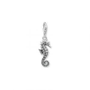 Image de Thomas Sabo Charm Sterling Silver 1886-643-14