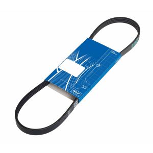 SKF Courroie d'accessoires VKMV6PK1538