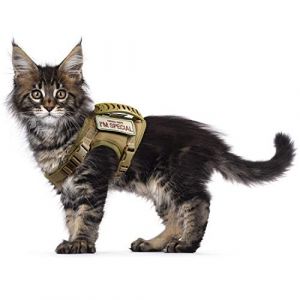 Harnais Tactique Anti-Fugue pour Chat - Maille Souple réglable - pour Grands Chats et Petits Chiens