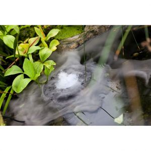 Image de Agriline Diffuseur de brume flottant pour bassin Nébulo
