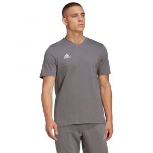 Adidas T-shirt Manche Courte Entrada 22 XS Team Grey Four 1