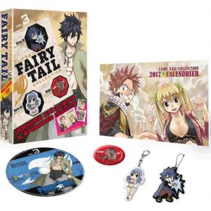 Image de Fairy Tail Collection - Volume 3