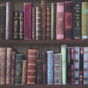 Superfresco Easy Papier peint Intiss&eacute; Livres 1005 x 52cm Multicolore