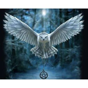 Peinture au numéro : Chouette porteuse de croix - sans châssis en bois